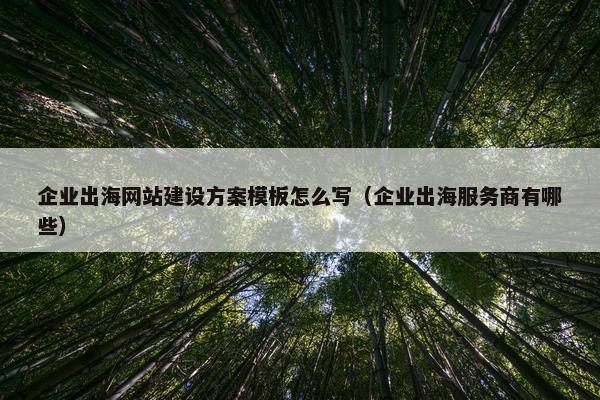 企业出海网站建设方案模板怎么写（企业出海服务商有哪些）
