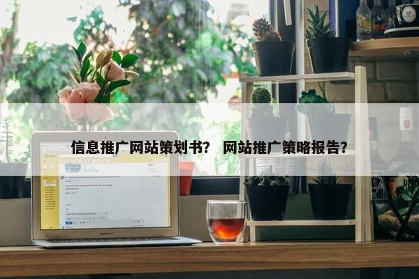 信息推广网站策划书？ 网站推广策略报告？
