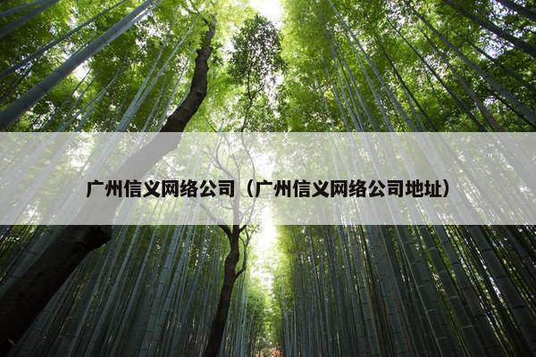 广州信义网络公司（广州信义网络公司地址）