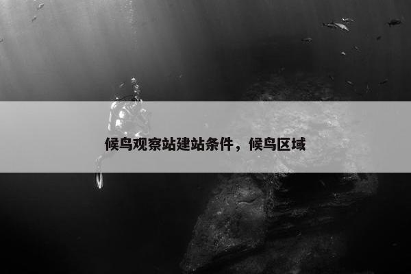 候鸟观察站建站条件，候鸟区域