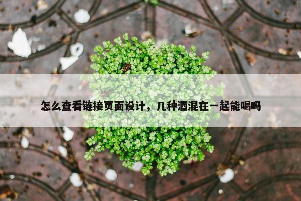 怎么查看链接页面设计，几种酒混在一起能喝吗