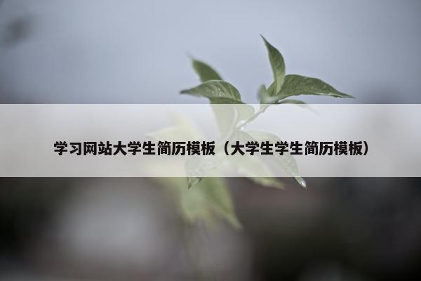 学习网站大学生简历模板（大学生学生简历模板）