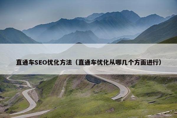 直通车SEO优化方法（直通车优化从哪几个方面进行）