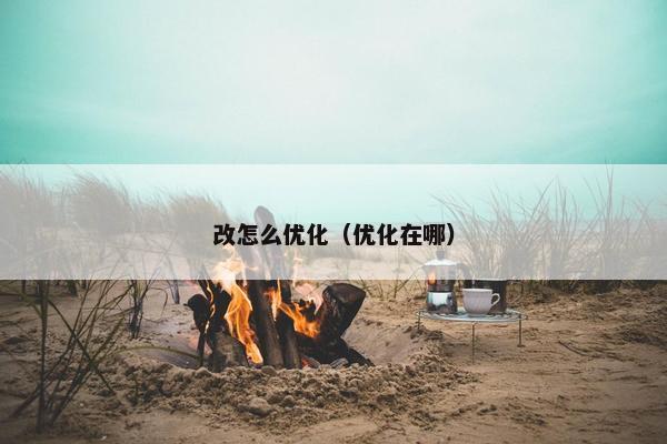 改怎么优化（优化在哪）