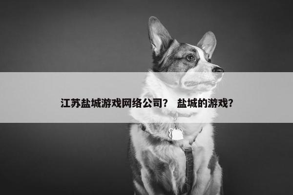 江苏盐城游戏网络公司？ 盐城的游戏？