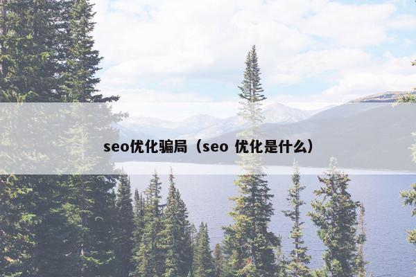seo优化骗局（seo 优化是什么）