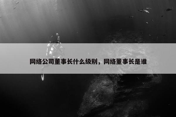 网络公司董事长什么级别，网络董事长是谁