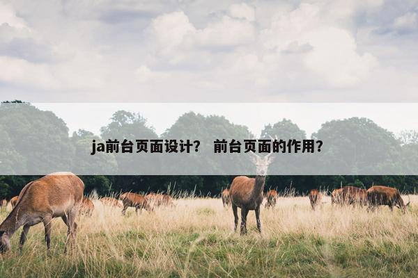 ja前台页面设计？ 前台页面的作用？