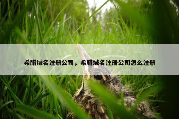 希腊域名注册公司，希腊域名注册公司怎么注册