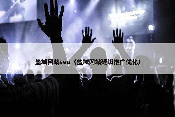 盐城网站seo（盐城网站建设推广优化）