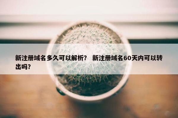 新注册域名多久可以解析？ 新注册域名60天内可以转出吗？