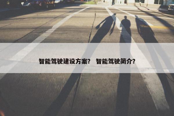 智能驾驶建设方案？ 智能驾驶简介？