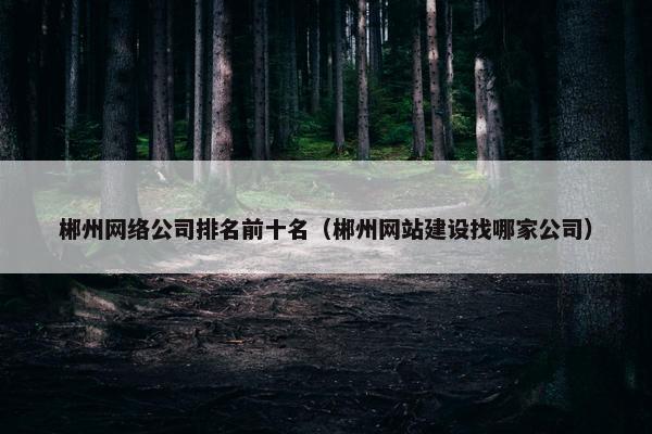 郴州网络公司排名前十名（郴州网站建设找哪家公司）
