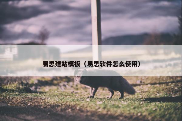 易思建站模板（易思软件怎么使用）