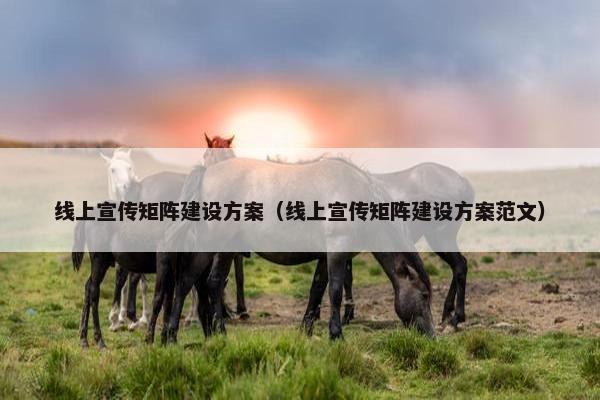 线上宣传矩阵建设方案（线上宣传矩阵建设方案范文）