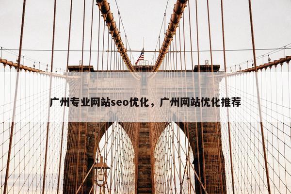 广州专业网站seo优化，广州网站优化推荐