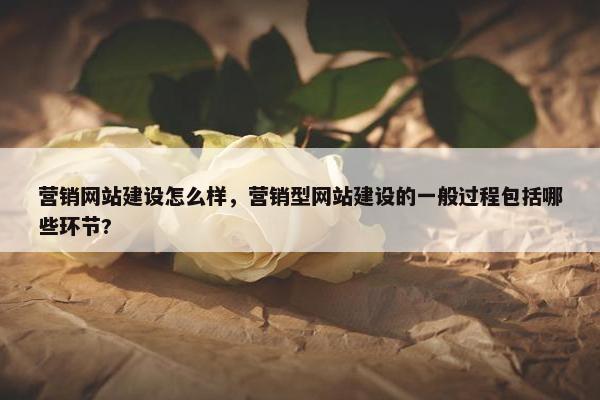 营销网站建设怎么样，营销型网站建设的一般过程包括哪些环节?