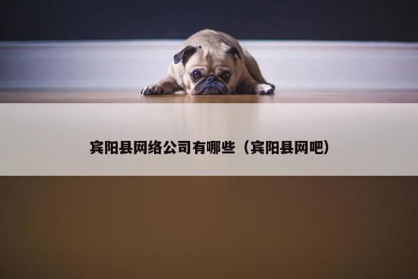 宾阳县网络公司有哪些（宾阳县网吧）