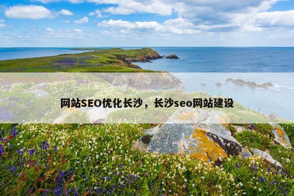 网站SEO优化长沙，长沙seo网站建设