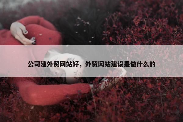 公司建外贸网站好，外贸网站建设是做什么的