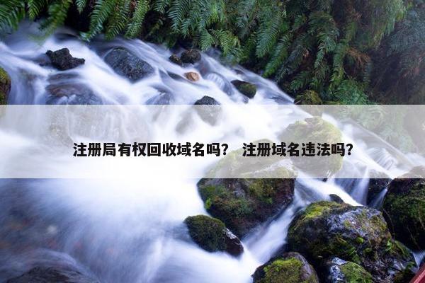注册局有权回收域名吗？ 注册域名违法吗？