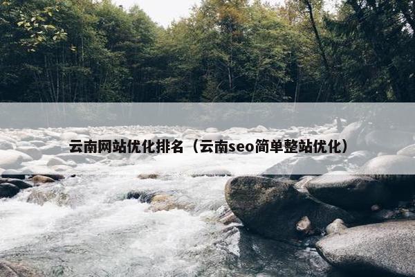 云南网站优化排名（云南seo简单整站优化）