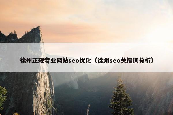 徐州正规专业网站seo优化（徐州seo关键词分析）