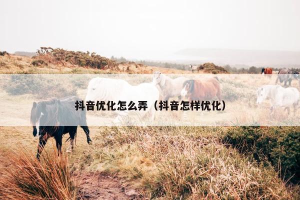 抖音优化怎么弄（抖音怎样优化）