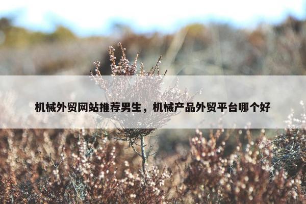 机械外贸网站推荐男生，机械产品外贸平台哪个好