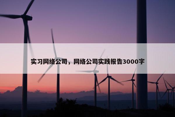 实习网络公司，网络公司实践报告3000字