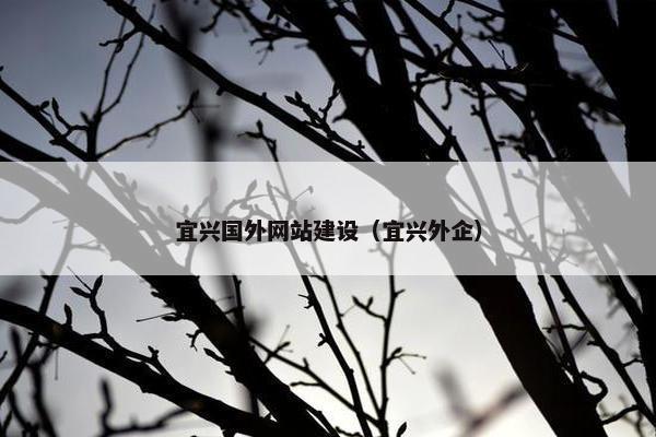 宜兴国外网站建设（宜兴外企）
