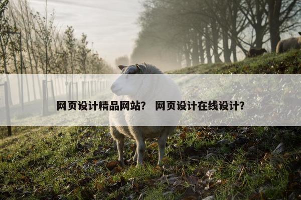 网页设计精品网站？ 网页设计在线设计？