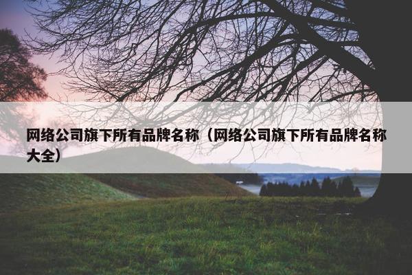 网络公司旗下所有品牌名称（网络公司旗下所有品牌名称大全）
