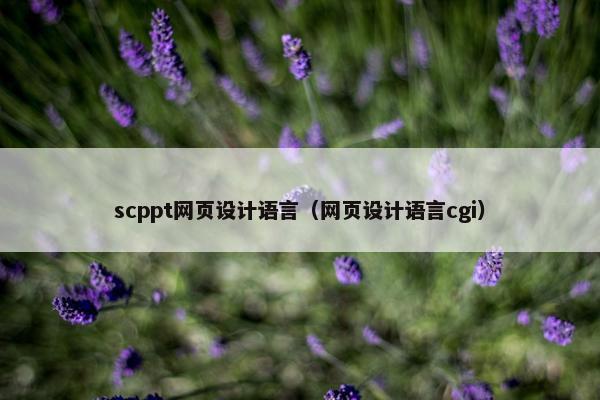 scppt网页设计语言（网页设计语言cgi）