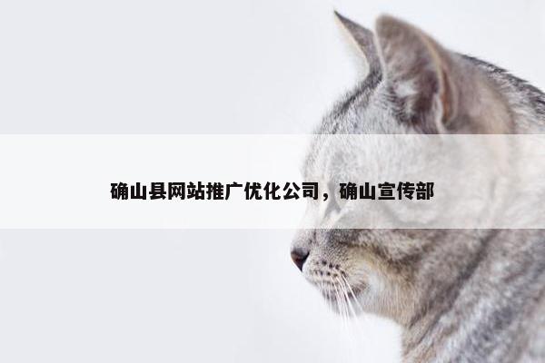 确山县网站推广优化公司，确山宣传部