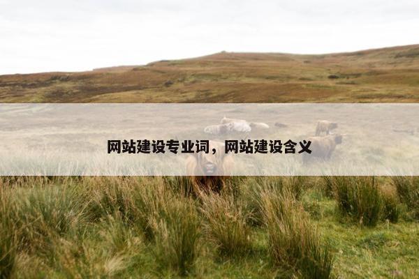 网站建设专业词，网站建设含义