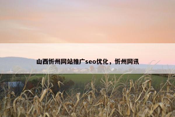山西忻州网站推广seo优化，忻州网讯