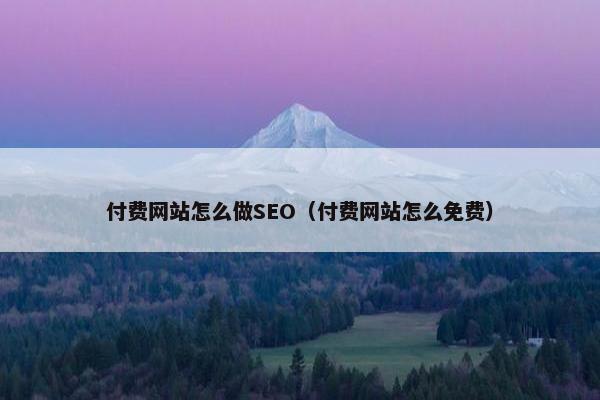 付费网站怎么做SEO（付费网站怎么免费）