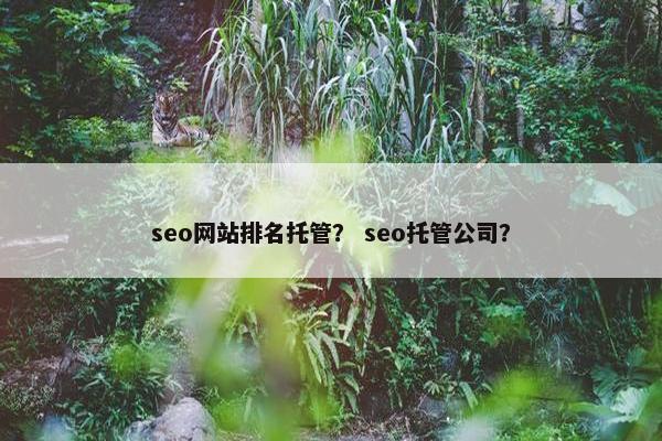 seo网站排名托管？ seo托管公司？