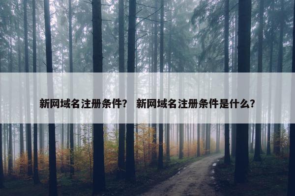 新网域名注册条件？ 新网域名注册条件是什么？
