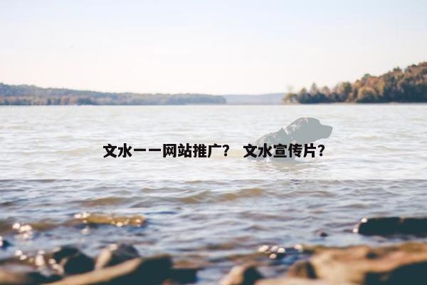 文水一一网站推广？ 文水宣传片？