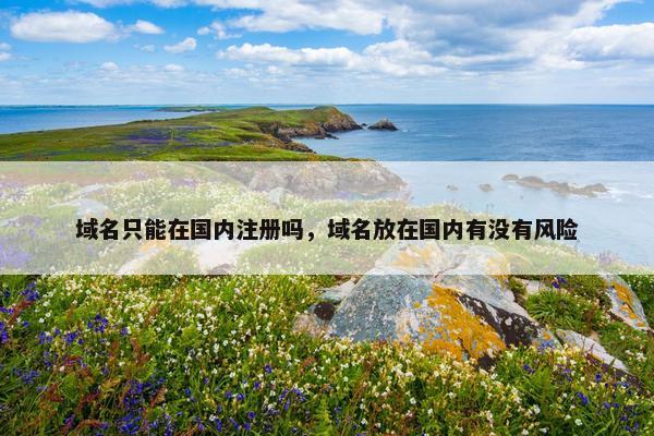 域名只能在国内注册吗，域名放在国内有没有风险