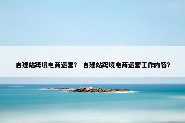 自建站跨境电商运营？ 自建站跨境电商运营工作内容？