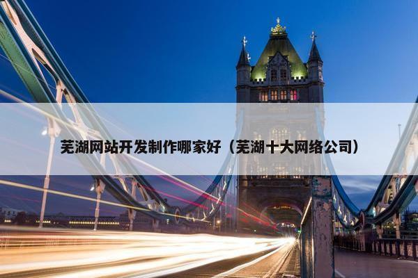 芜湖网站开发制作哪家好（芜湖十大网络公司）
