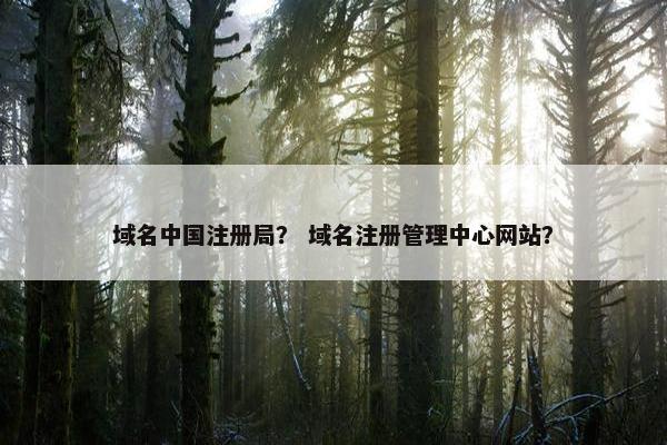 域名中国注册局？ 域名注册管理中心网站？