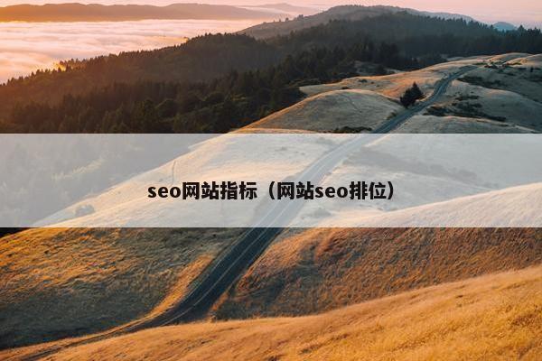 seo网站指标（网站seo排位）