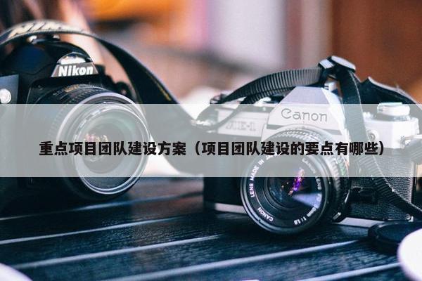 重点项目团队建设方案（项目团队建设的要点有哪些）