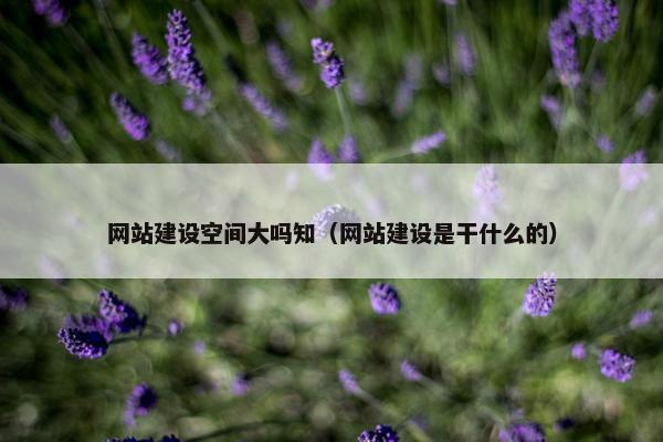 网站建设空间大吗知（网站建设是干什么的）