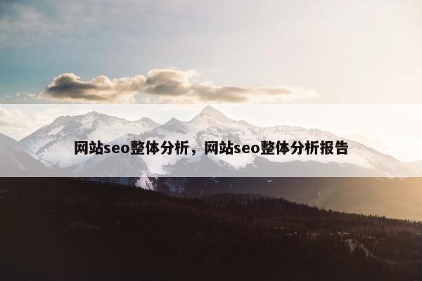 网站seo整体分析，网站seo整体分析报告