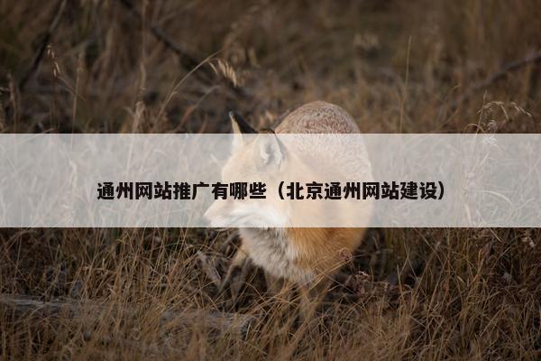 通州网站推广有哪些（北京通州网站建设）